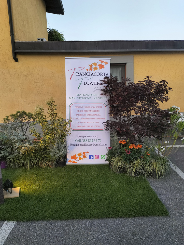 Prato in rotoli appena steso