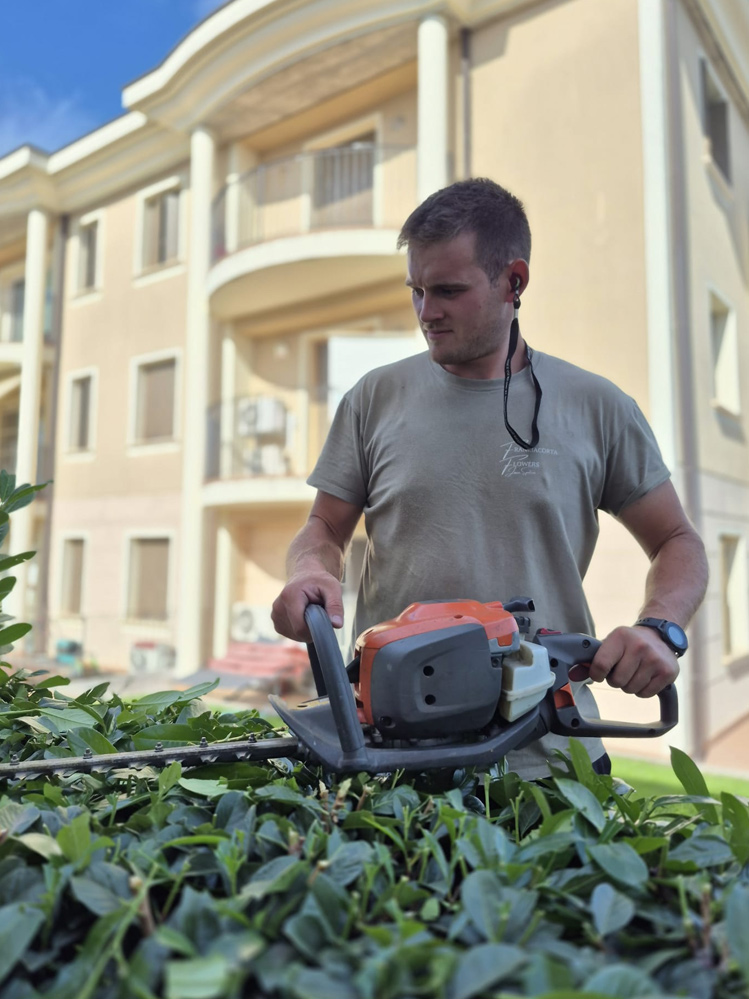 Cura ordinaria del giardino